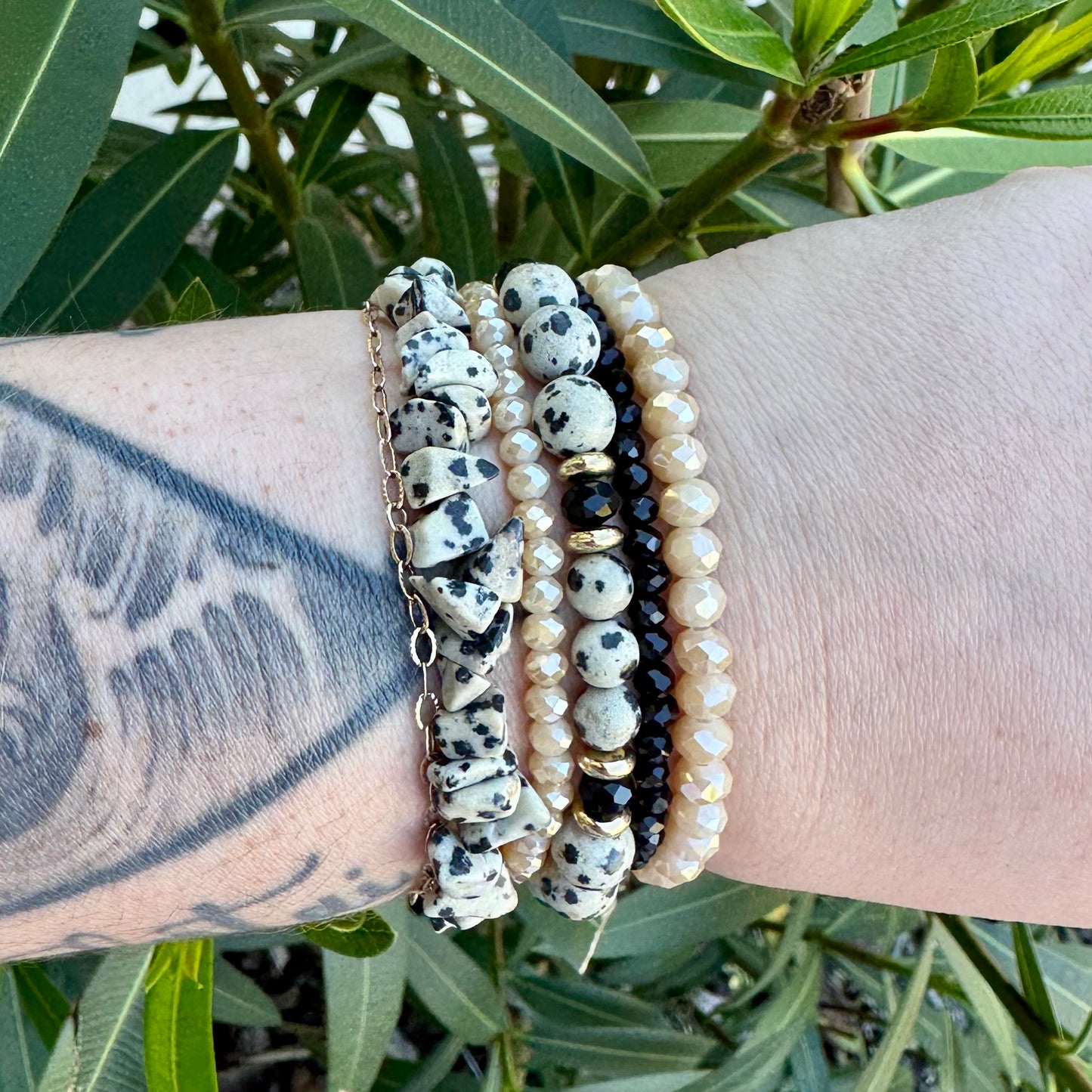 Dalmatian Stack
